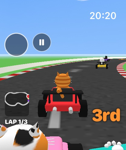 Racing on Whisker Meadow